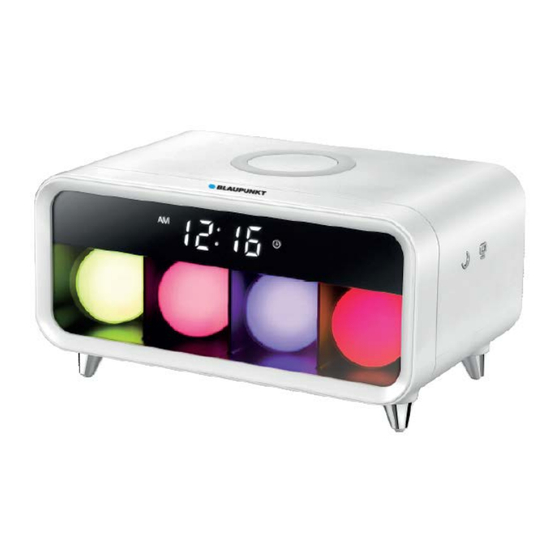 Blaupunkt BLP2620-001 Bedienungsanleitung