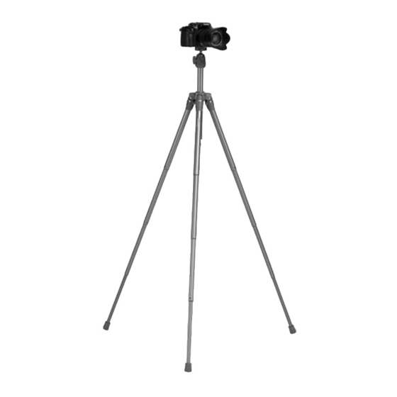 Rollei Compact Traveler Star S3 Plus Bedienungsanleitung