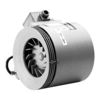 Helios RRK 250 Ex Montage- Und Betriebsvorschrift