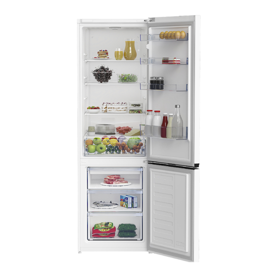 Beko RCNA320K20W Gebrauchsanweisung