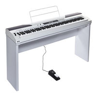 FAME DP-4000 Bedienungsanleitung