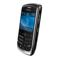 Blackberry Curve Schnellstart