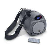 LD Systems LD ROADKID Bedienungsanleitung