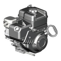 Briggs & Stratton Professional-Serie Bedienungsanleitung