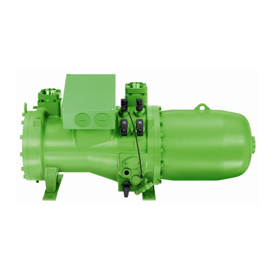 Bitzer SB-170-10 Betriebsanleitung