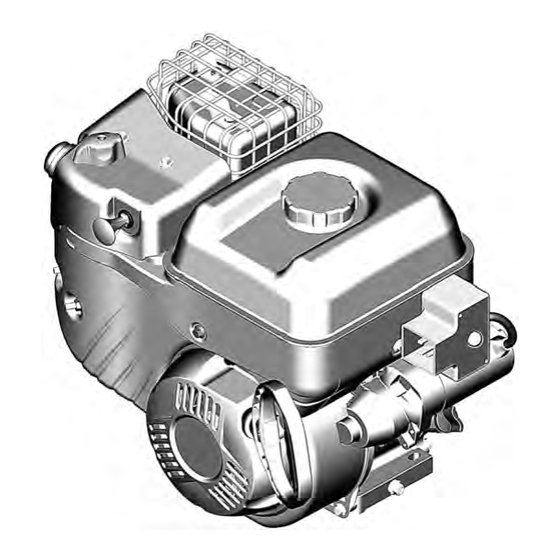 BRIGGS&STRATTON 100000 Bedienungsanleitung