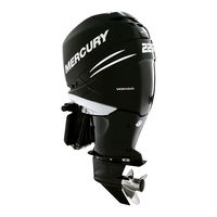 Mercury 200 Verado Anleitung