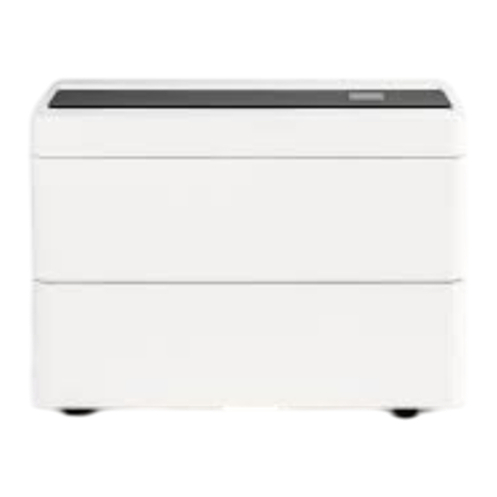 Brune B 600 Professional Bedienungsanleitung