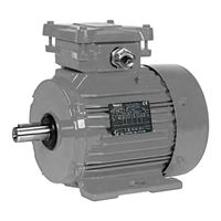 Leroy-Somer LSES 112 M Inbetriebnahme Und Wartungsanleitung