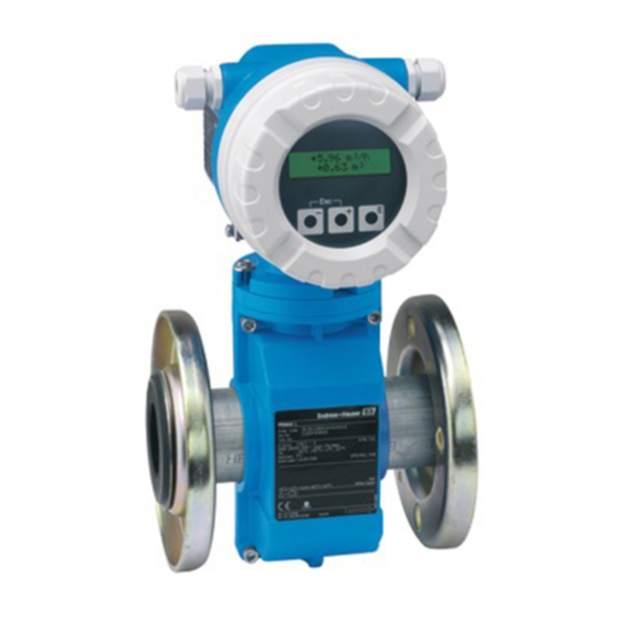 Endress+Hauser Promag 10 Einbauanleitung