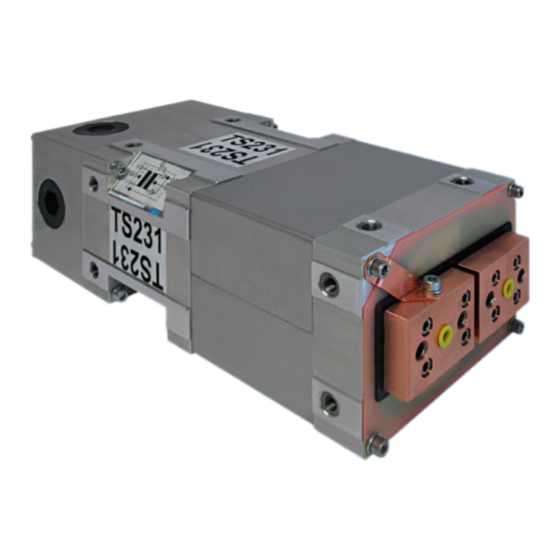 Bosch Rexroth PSG 6160.00 TS23 Serie Typspezifische Anleitung