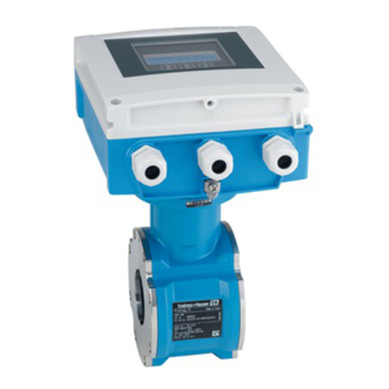 Endress+Hauser Proline Promag D 400 HART Betriebsanleitung