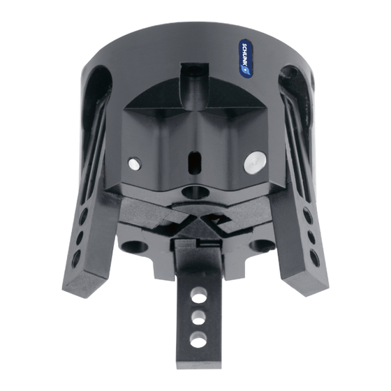 SCHUNK SGW 40 Montage- Und Betriebsanleitung