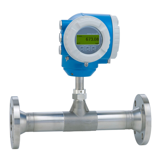 Endress+Hauser Proline 300 Einbauanleitung