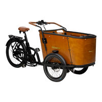 SachsenRad T2 Serie Bedienungsanleitung