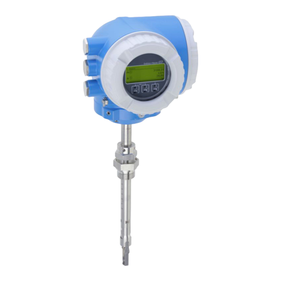 Endress+Hauser Proline t-mass I 300 Technische Information