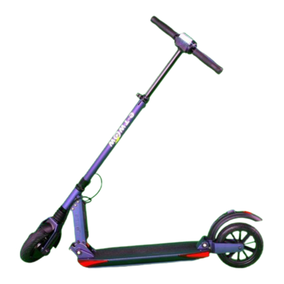 e-TWOW BOOSTER PLUS Handbuch