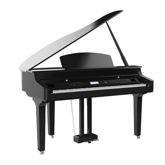 FAME Grand 3100 Bedienungsanleitung