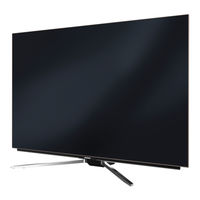 Grundig 55 OLED Sylt Kurzanleitung