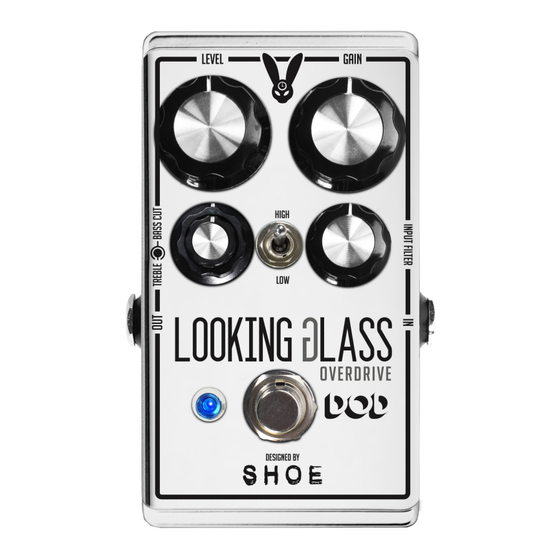 DOD Looking Glass Handbuch