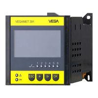 Vega VEGAMET 391 Betriebsanleitung