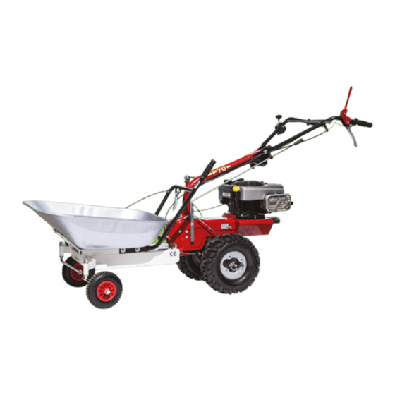 Eurosystems P 70 Bedienungsanleitung