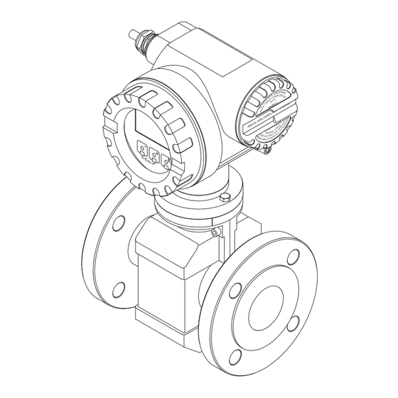 Endress+Hauser Proline Promag 23 HART Betriebsanleitung
