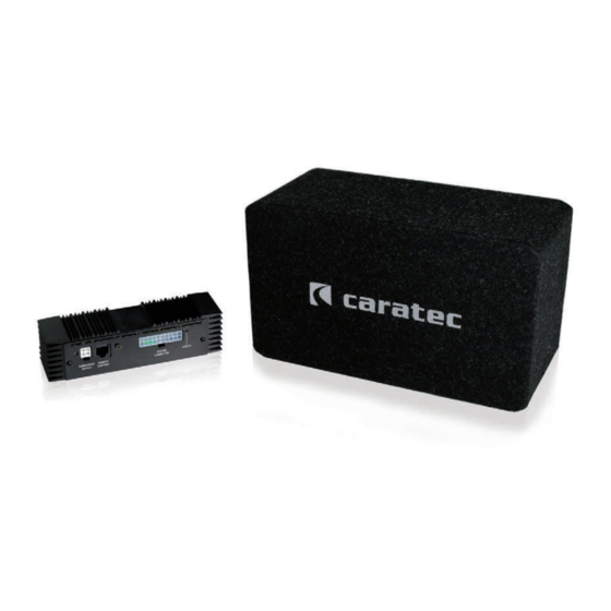 Caratec Audio CAS213S Montageanleitung