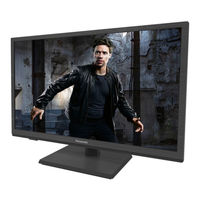 Panasonic TX-24G310E Handbuch