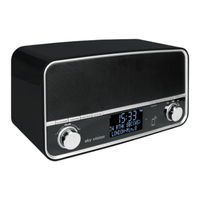 sky vision DAB 50S Bedienungsanleitung