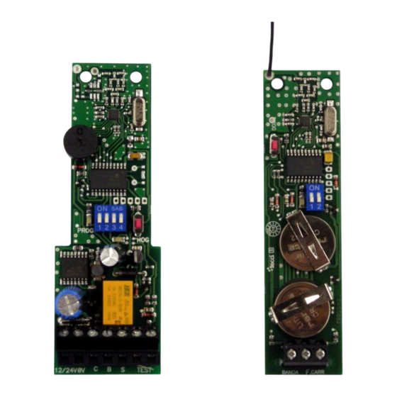 aerf Wireless Band 1.0 Gebrauchsanweisung