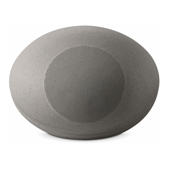 Focal LITTORA 200 OD STONE 8 Handbücher
