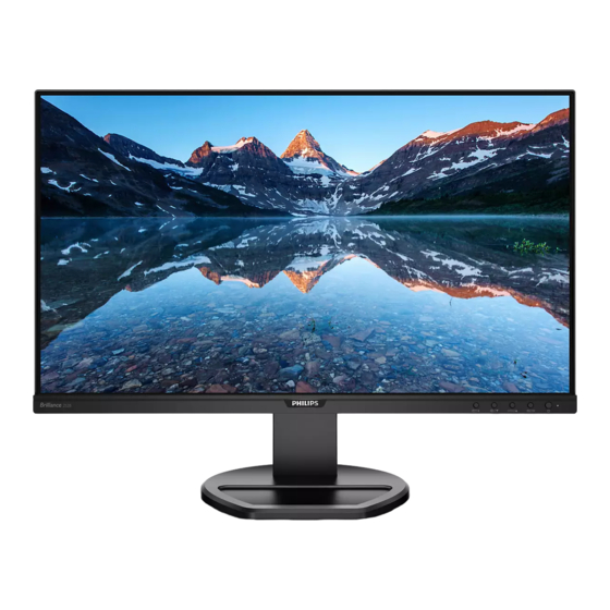 Philips 252B9 Bedienungsanleitung