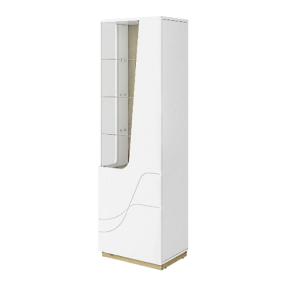 lenart WAVE WA-02 P Montageanleitung