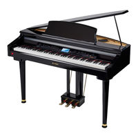 thomann DP-495 GP WHP Bedienungsanleitung