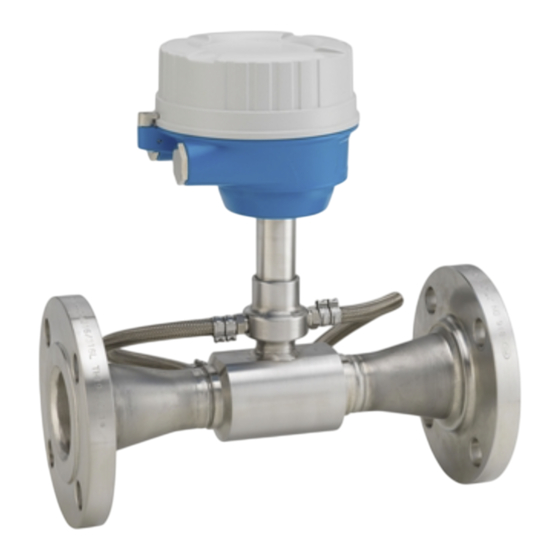 Endress+Hauser Prosonic Flow E Heat Betriebsanleitung