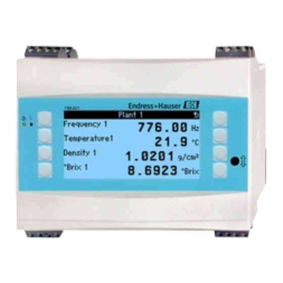 Endress+Hauser FML621 Betriebsanleitung