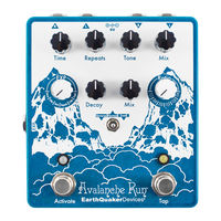 EarthQuaker Devices Avalanche Run Bedienungsanleitung