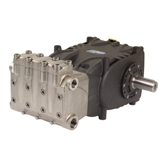Interpump Group Pratissoli HS22 Reparaturanleitung