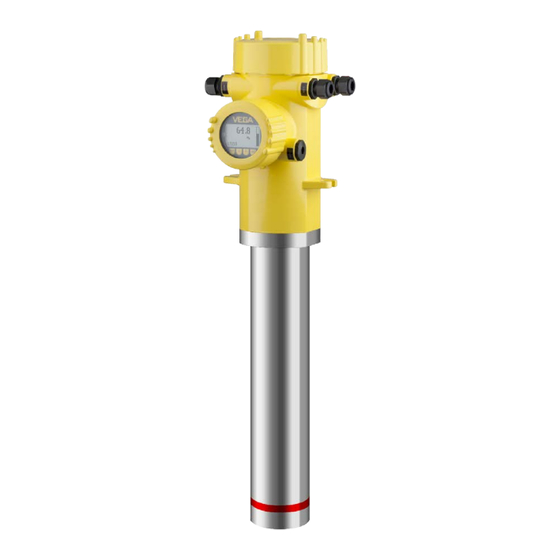 VEGA FIBERTRAC serie Produktinformation
