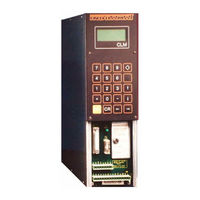 Mannesmann Rexroth Indramat CLM-01 Anwendungsbeschreibung