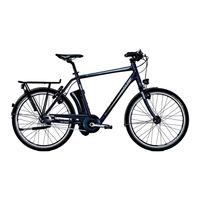 Derby cycle Impulse Werkstatt-Handbuch