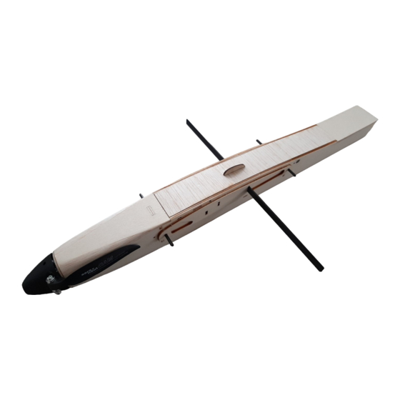 Vogel-Fly Batwing Bauanleitung