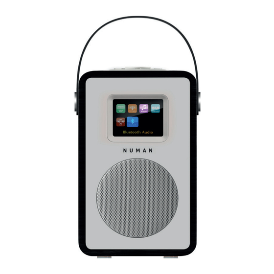 Numan Audio Mini Two Benutzerhandbuch