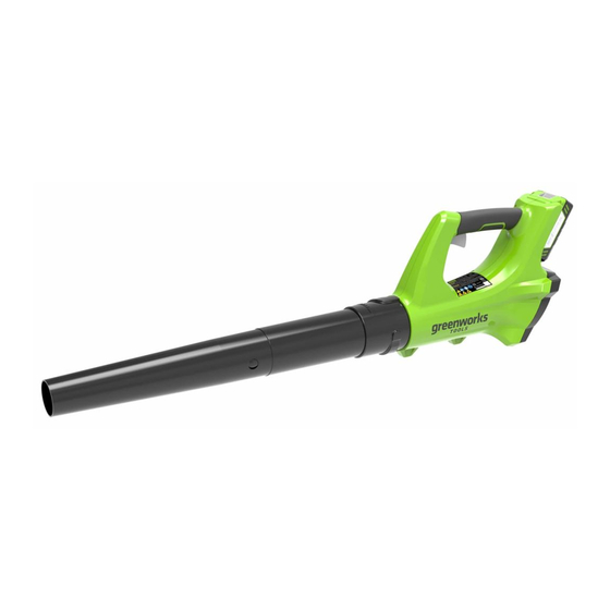 GreenWorks Tools 2402207 Handbücher