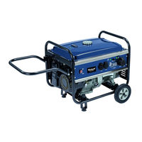 Einhell BT-PG 5500/2 D Originalbetriebsanleitung