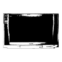 Panasonic TX-28PX10D/M Bedienungsanleitung