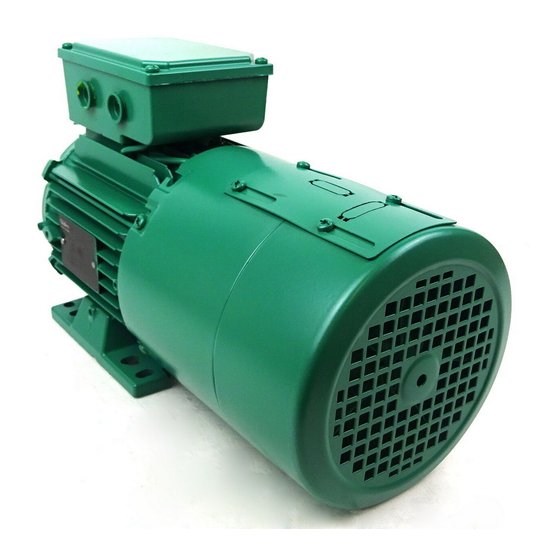 Nidec Leroy-Somer FFB Serie Inbetriebnahme Und Wartung