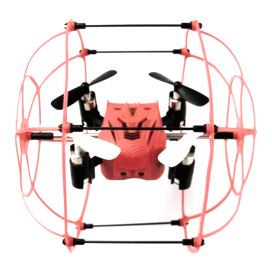 Rayline R802-1 Bedienungsanleitung
