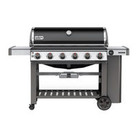 Weber Genesis II E-610 GBS Montageanleitung